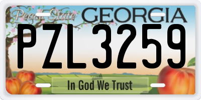GA license plate PZL3259