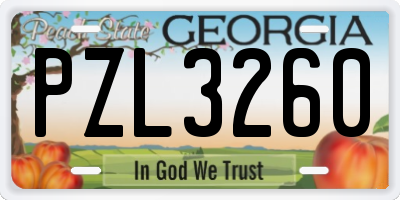 GA license plate PZL3260