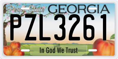 GA license plate PZL3261