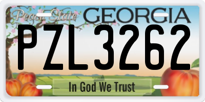 GA license plate PZL3262