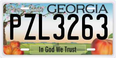 GA license plate PZL3263