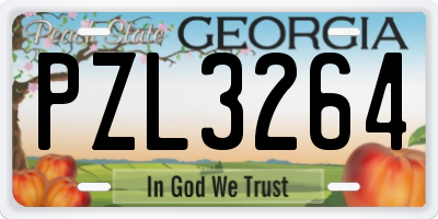 GA license plate PZL3264