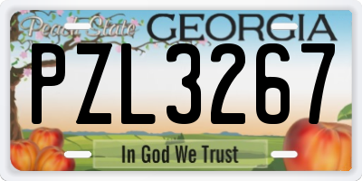 GA license plate PZL3267