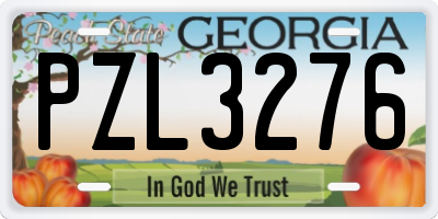 GA license plate PZL3276