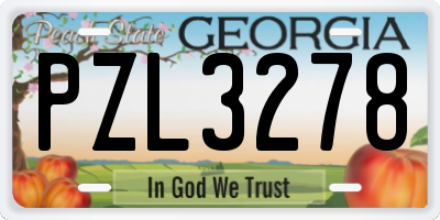 GA license plate PZL3278