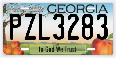 GA license plate PZL3283