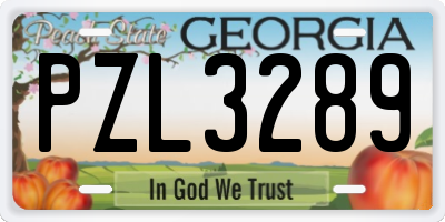 GA license plate PZL3289