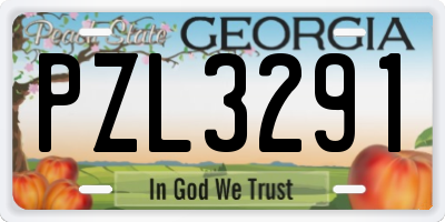 GA license plate PZL3291