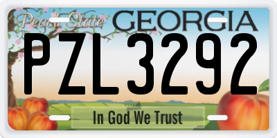 GA license plate PZL3292