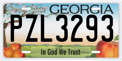 GA license plate PZL3293