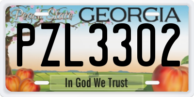 GA license plate PZL3302