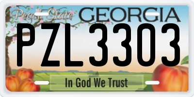 GA license plate PZL3303