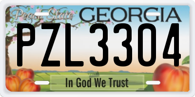 GA license plate PZL3304