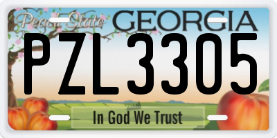 GA license plate PZL3305