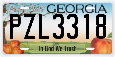 GA license plate PZL3318