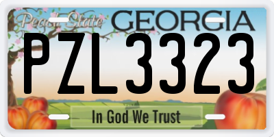 GA license plate PZL3323