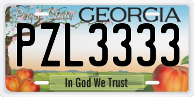 GA license plate PZL3333