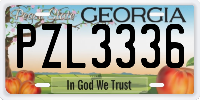 GA license plate PZL3336