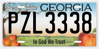 GA license plate PZL3338