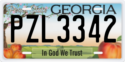GA license plate PZL3342