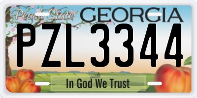 GA license plate PZL3344