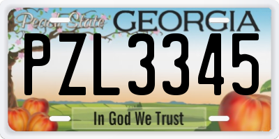 GA license plate PZL3345