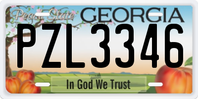 GA license plate PZL3346