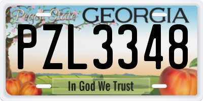GA license plate PZL3348
