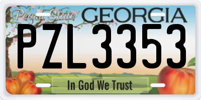 GA license plate PZL3353