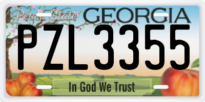 GA license plate PZL3355