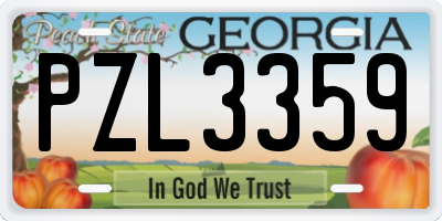 GA license plate PZL3359