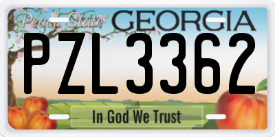 GA license plate PZL3362