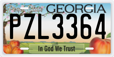 GA license plate PZL3364
