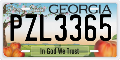 GA license plate PZL3365