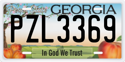 GA license plate PZL3369