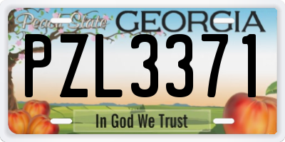 GA license plate PZL3371