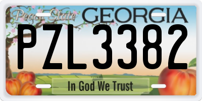 GA license plate PZL3382