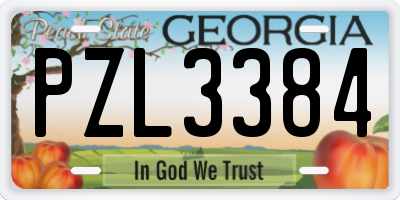 GA license plate PZL3384
