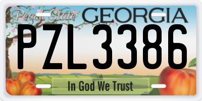 GA license plate PZL3386