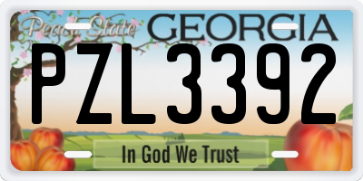 GA license plate PZL3392