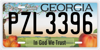 GA license plate PZL3396
