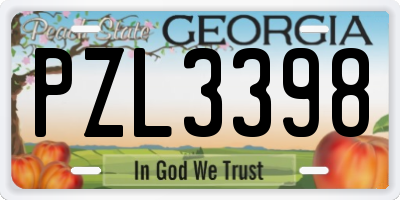 GA license plate PZL3398