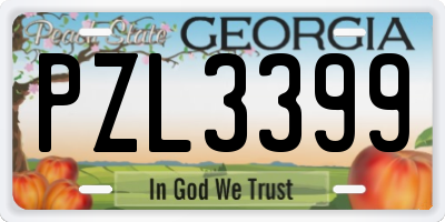 GA license plate PZL3399
