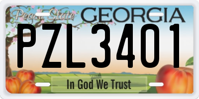 GA license plate PZL3401