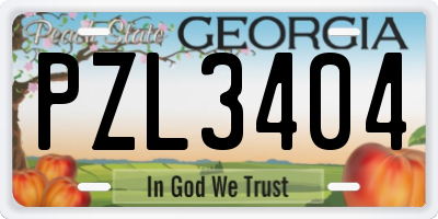 GA license plate PZL3404