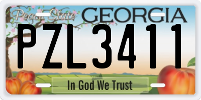 GA license plate PZL3411