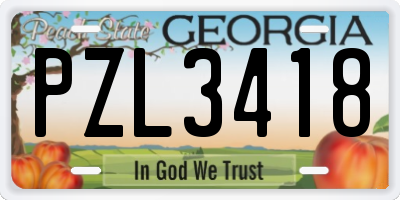 GA license plate PZL3418