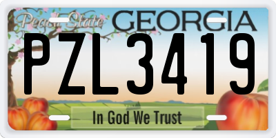 GA license plate PZL3419