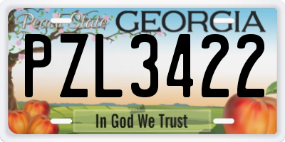 GA license plate PZL3422