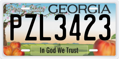 GA license plate PZL3423